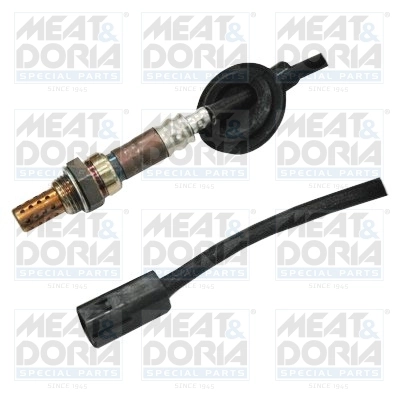 Oxygen Sensor